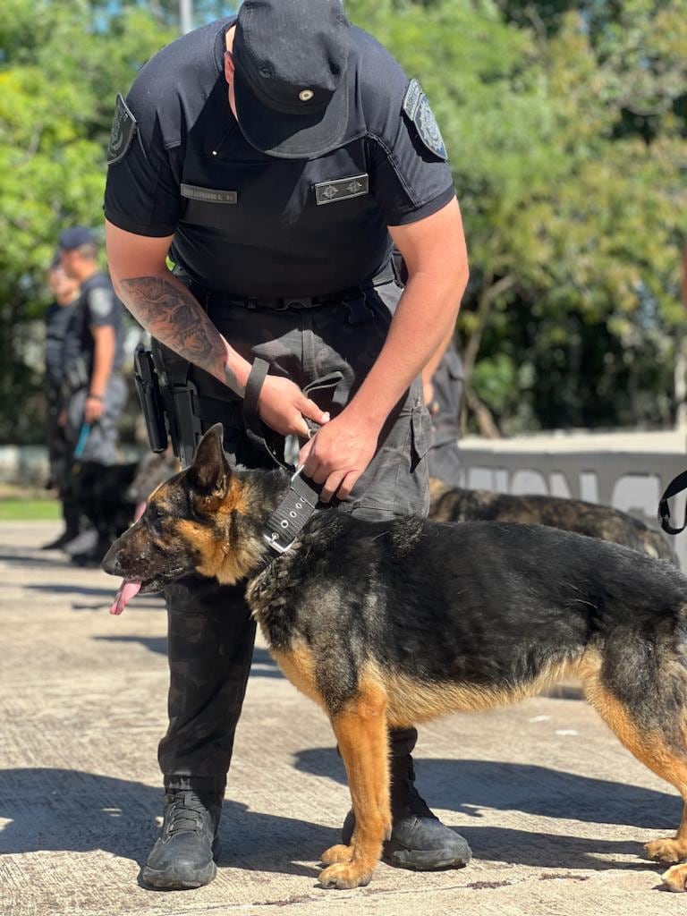 Ciudad de Córdoba. Se “jubiló” Ursus de la división Canes (Gentileza).