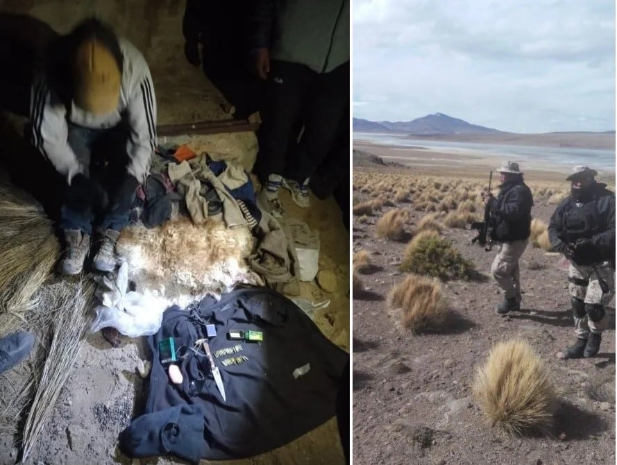 El reciente hallazgo de dos vicuñas muertas a las que se les había extraído el cuero, dio lugar al operativo que permitió atrapar a uno de los cazadores ilegales.