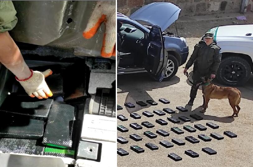 "Paris", el can detector de narcóticos, ayudó a los uniformados a encontrar los paquetes de cocaína en los autos de narcotraficantes detenidos en Jujuy.