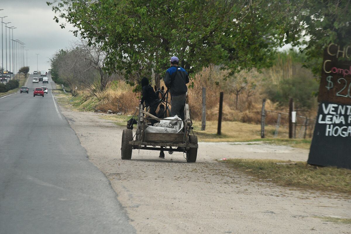 En Córdoba juntan firmas para eliminar los carros a caballo