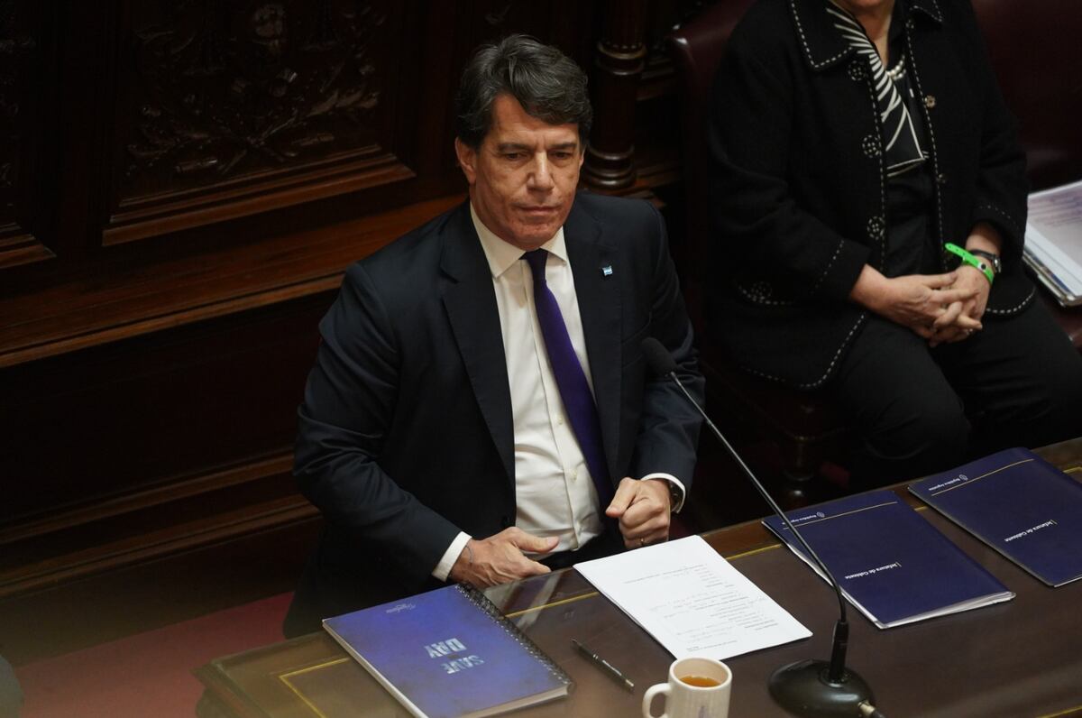 Nicolás Posse, en el Senado: “Evitamos una crisis que pudo ser la peor de la historia”
