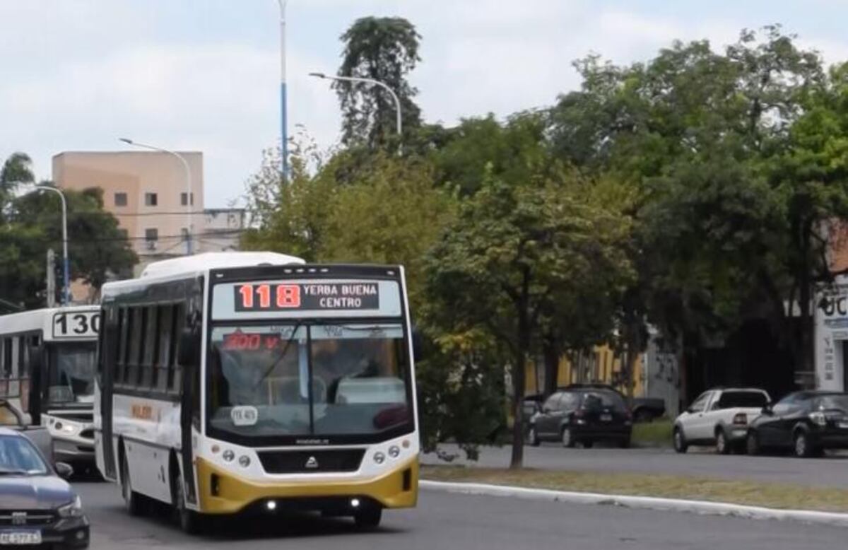 Comenzaron a circular los autobuses 0 KM adquiridos por el Gobierno de Tucumán