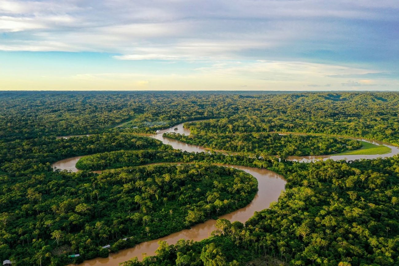 El avión se estrelló en una zona densamente poblada de vegetación de Brasil.