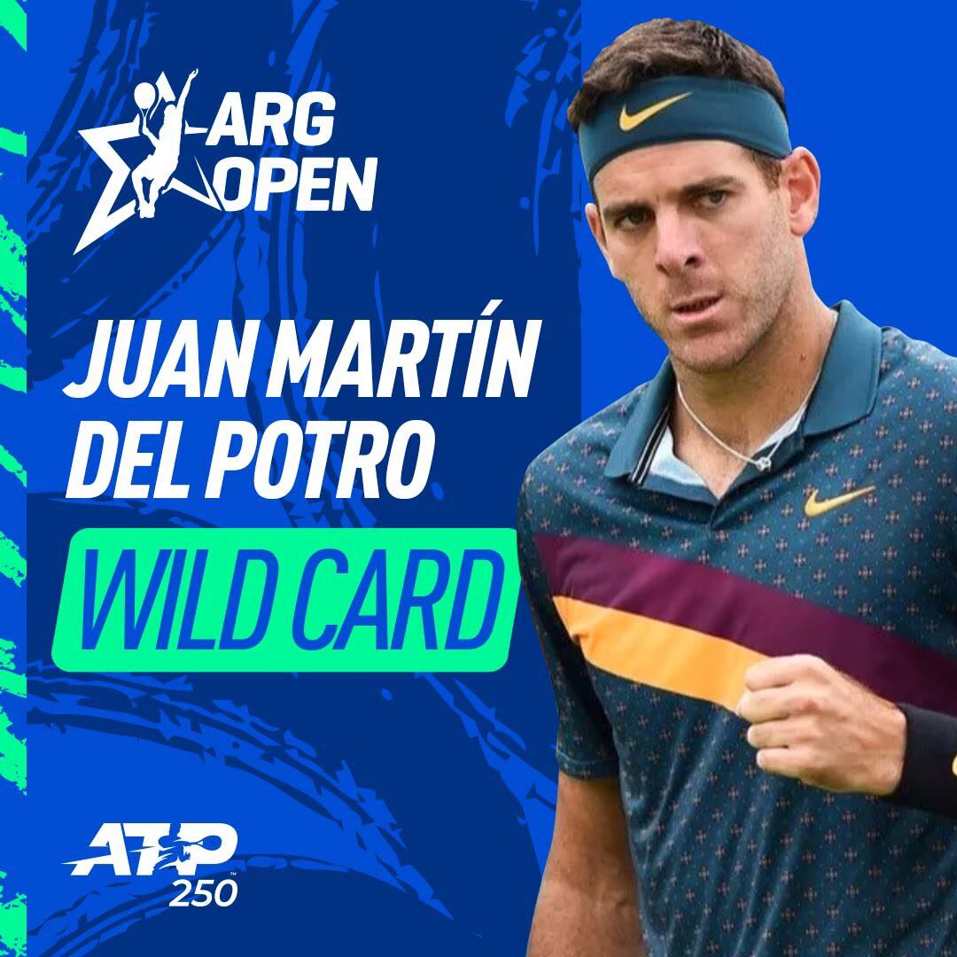 Regresa Juan Martín Del Potro