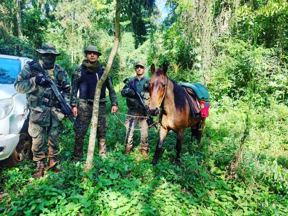 San Pedro: detienen a tres presuntos cazadores furtivos y secuestran armas.