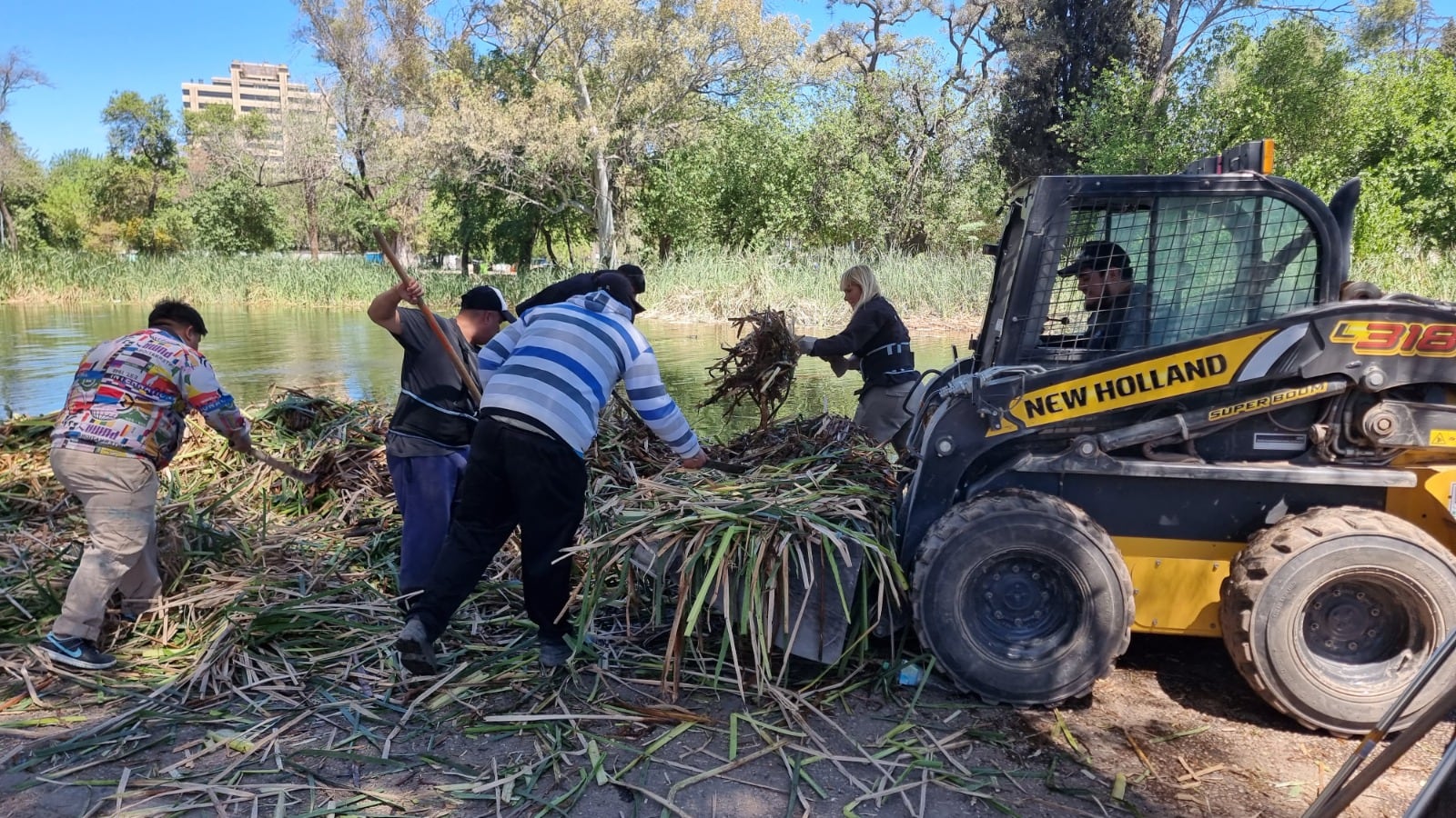 Los trabajos de saneamiento en la laguna del Parque Sarmiento ponen foco en evitar la proliferación de algas.