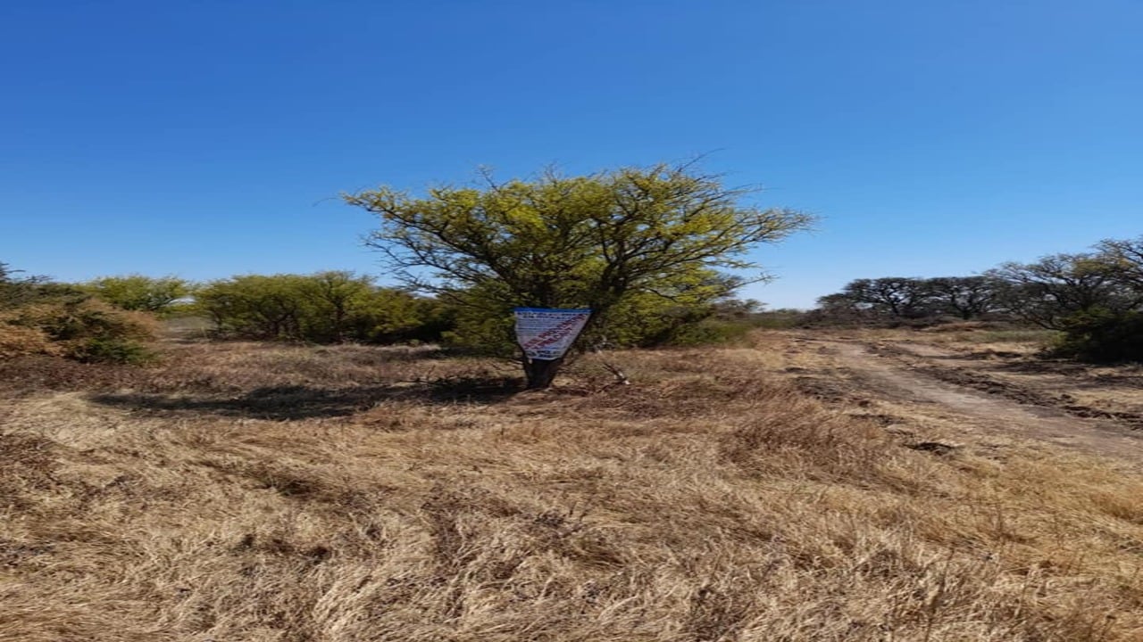 Intervención forestal.