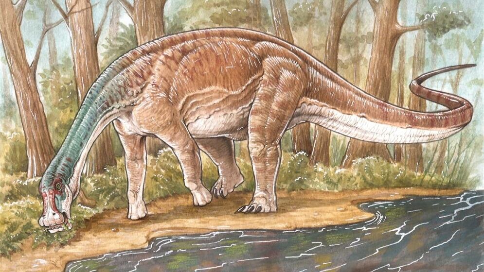 Inawentu oslatus, una nueva especie de dinosaurio, fue descubierta en Neuquén.