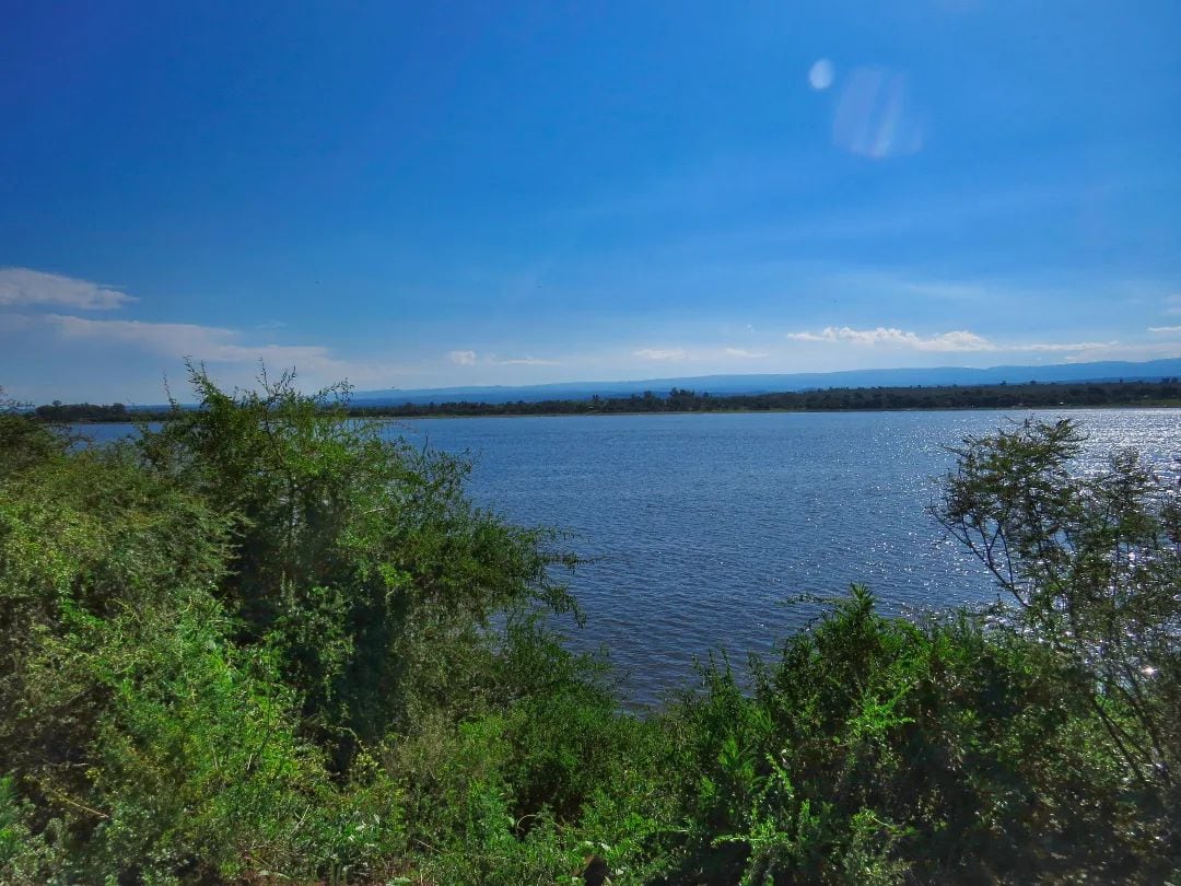 El sitio se destaca por sus vistas panorámicas, su vegetación y aire puro.