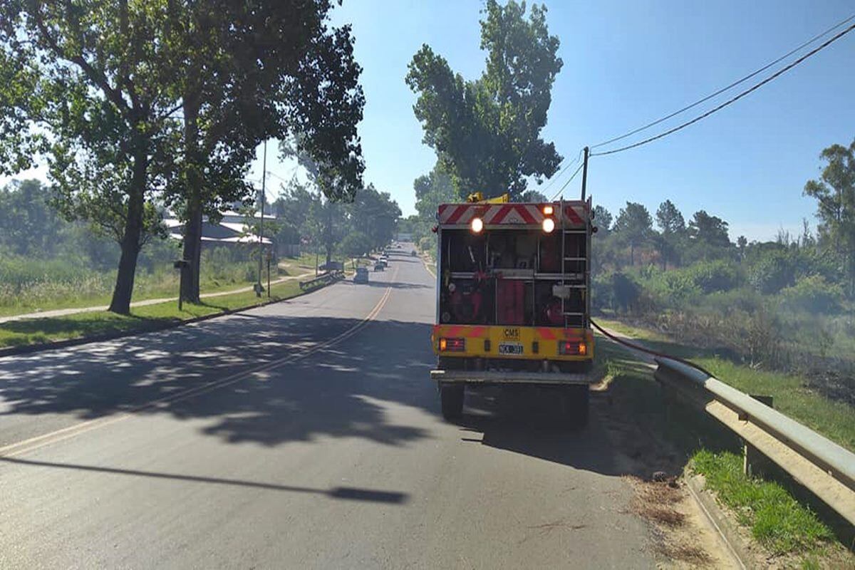 Incendio forestal en Concordia.