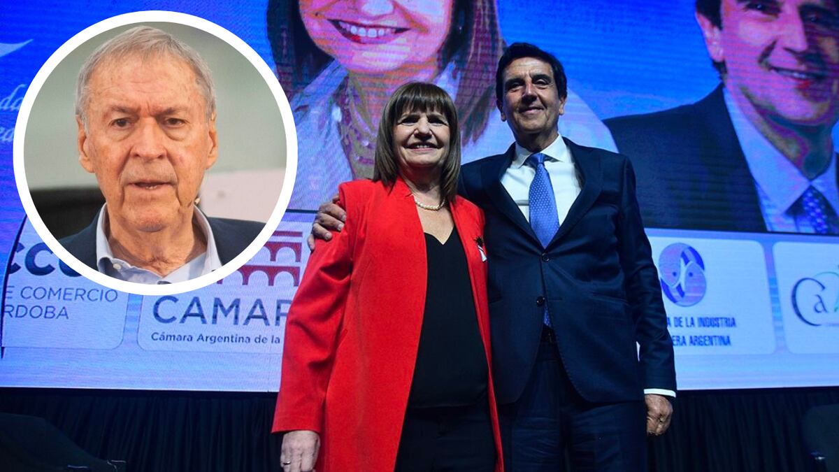 Quién es el economista que Patricia Bullrich quiere “robarle” a Juan Schiaretti para la presidencia