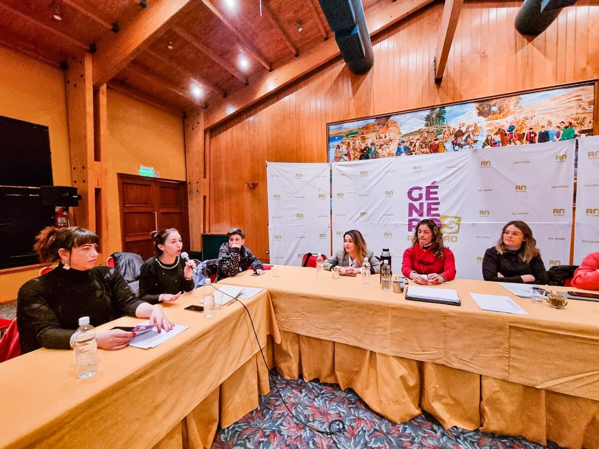 Tierra del Fuego participó del primer Encuentro Patagónico de Áreas de Géneros y Diversidad en Río Negro