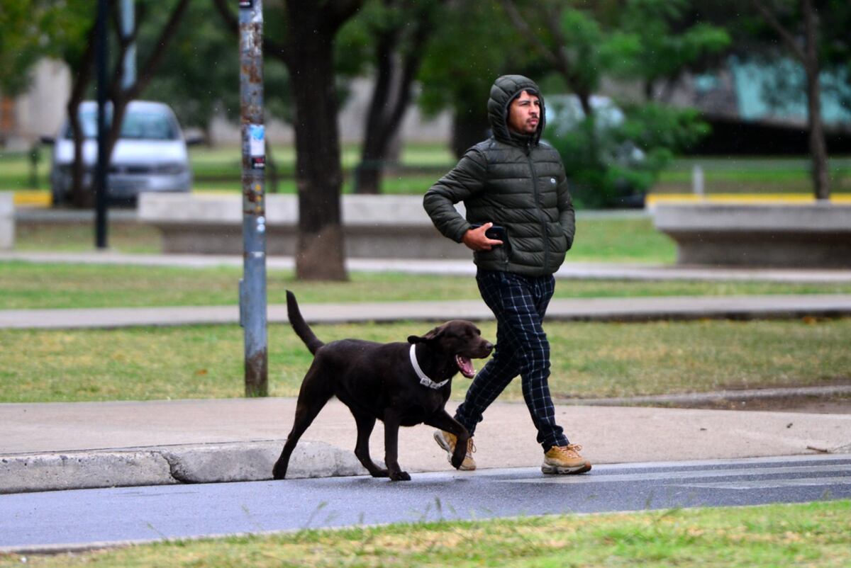 El clima en Córdoba: cómo estará el tiempo el fin de semana