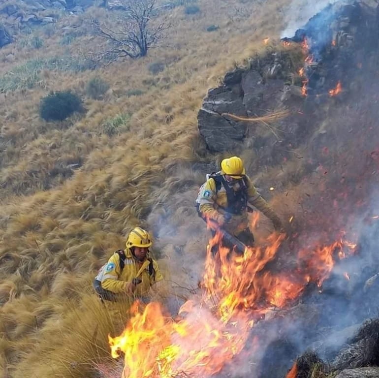 Bomberos trabaja para combatir el incendio en Córdoba.