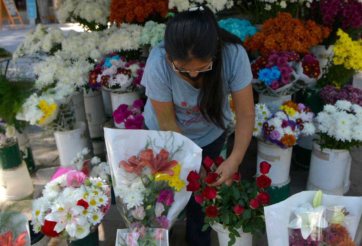 Primavera en Mendoza: ¿Cuáles son las flores preferidas de los mendocinos?