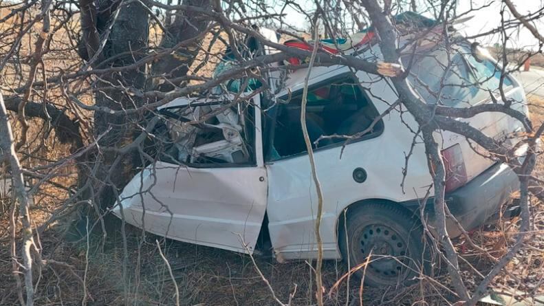 Intentó esquivar un perro y chocó contra un árbol.