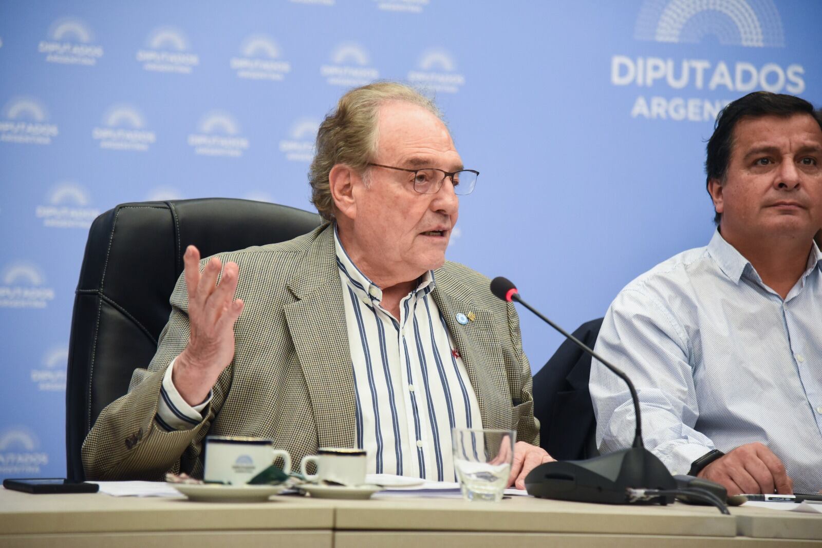 Carlos Heller, presidente de la Comisión de Presupuesto y Hacienda (Foto: HCDN)