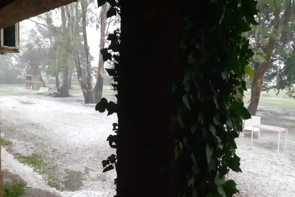 El cambio de tiempo llegó al sur de Córdoba: importante caída de granizo en Coronel Moldes