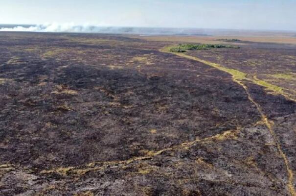 Los incendios en el estero Santa Lucía, en Caá Catí, ya consumieron miles de hectáreas.