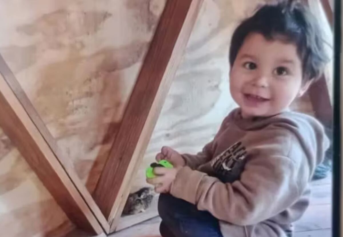 Encontraron con vida a Bautista Book, el nene que había desaparecido en Bariloche