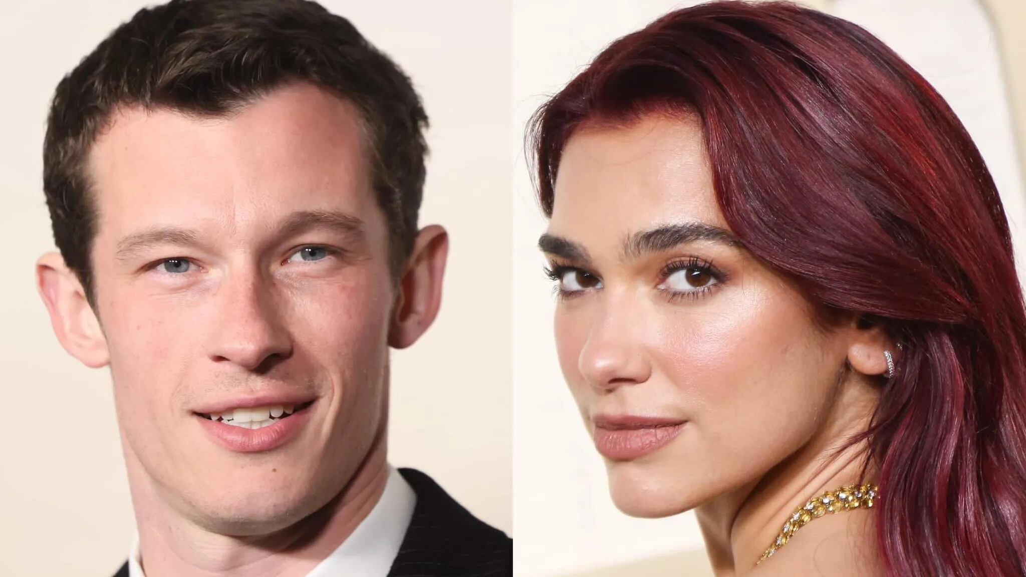 Dua Lipa está de novia con Callum Turner.