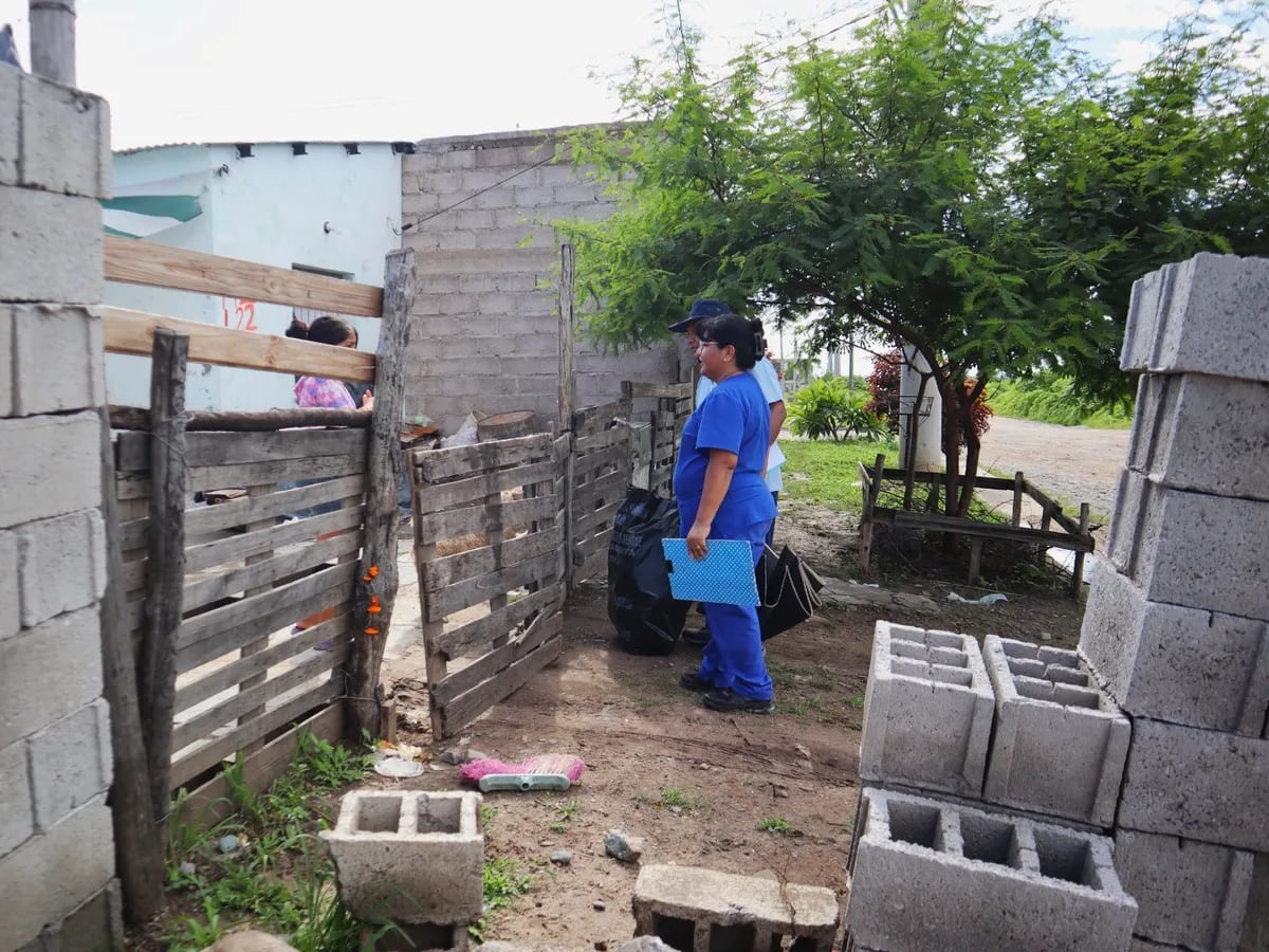 Contenidos de manera inmediata por los equipos de Salud en virtud de la vigilancia epidemiológica de cuadros febriles, las personas con dengue evolucionan de manera favorable, sin requerimiento de internación.