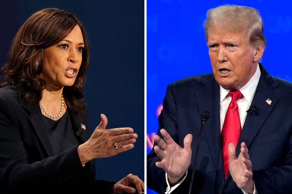 ¿Donald Trump o Kamala Harris? Cómo entender las Elecciones de Estados Unidos 2024 en pocos pasos
