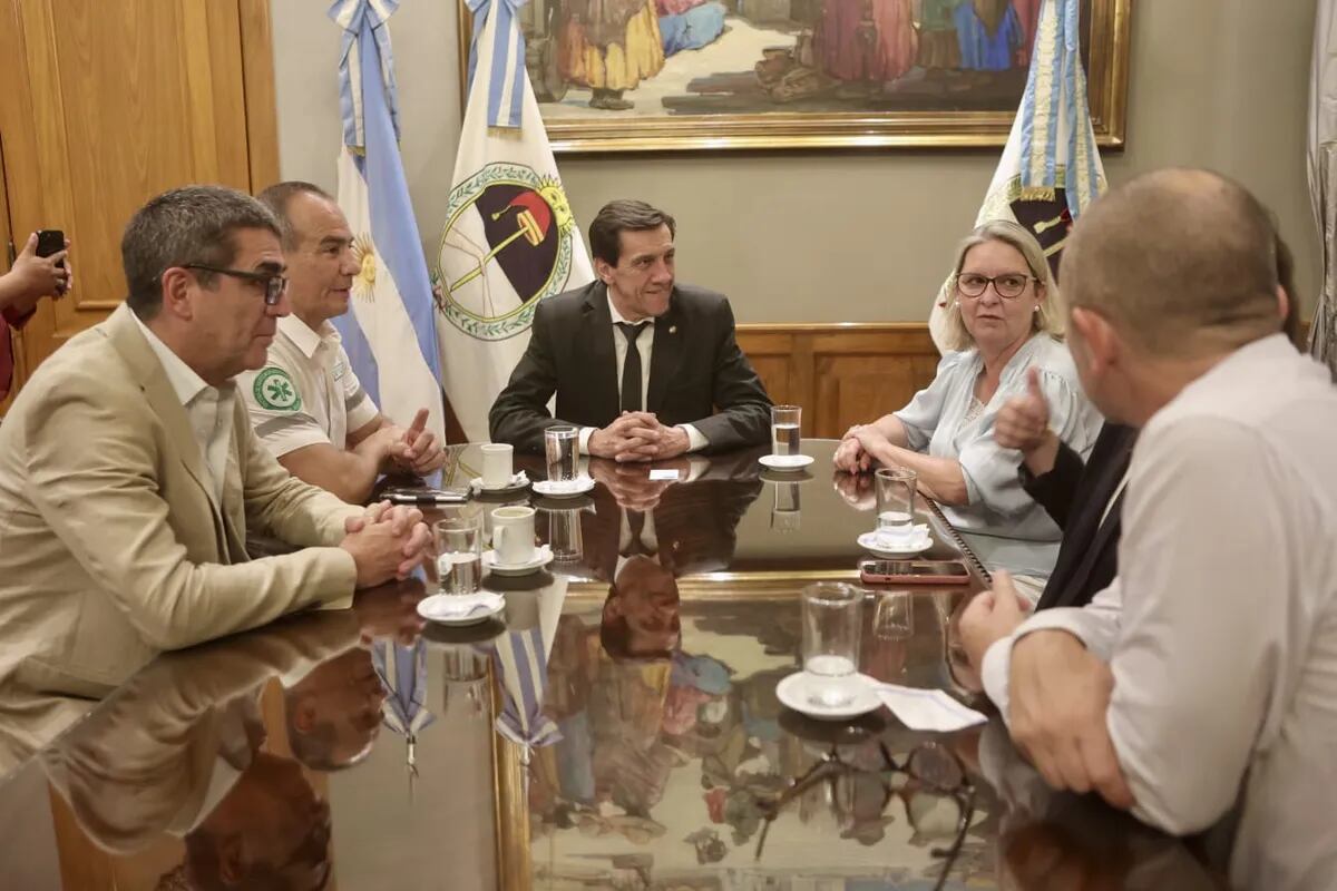 La comitiva francesa expresó al gobernador Sadir el interés de las autoridades de Vienne de renovar los acuerdos de cooperación e intercambio con la Provincia de Jujuy.