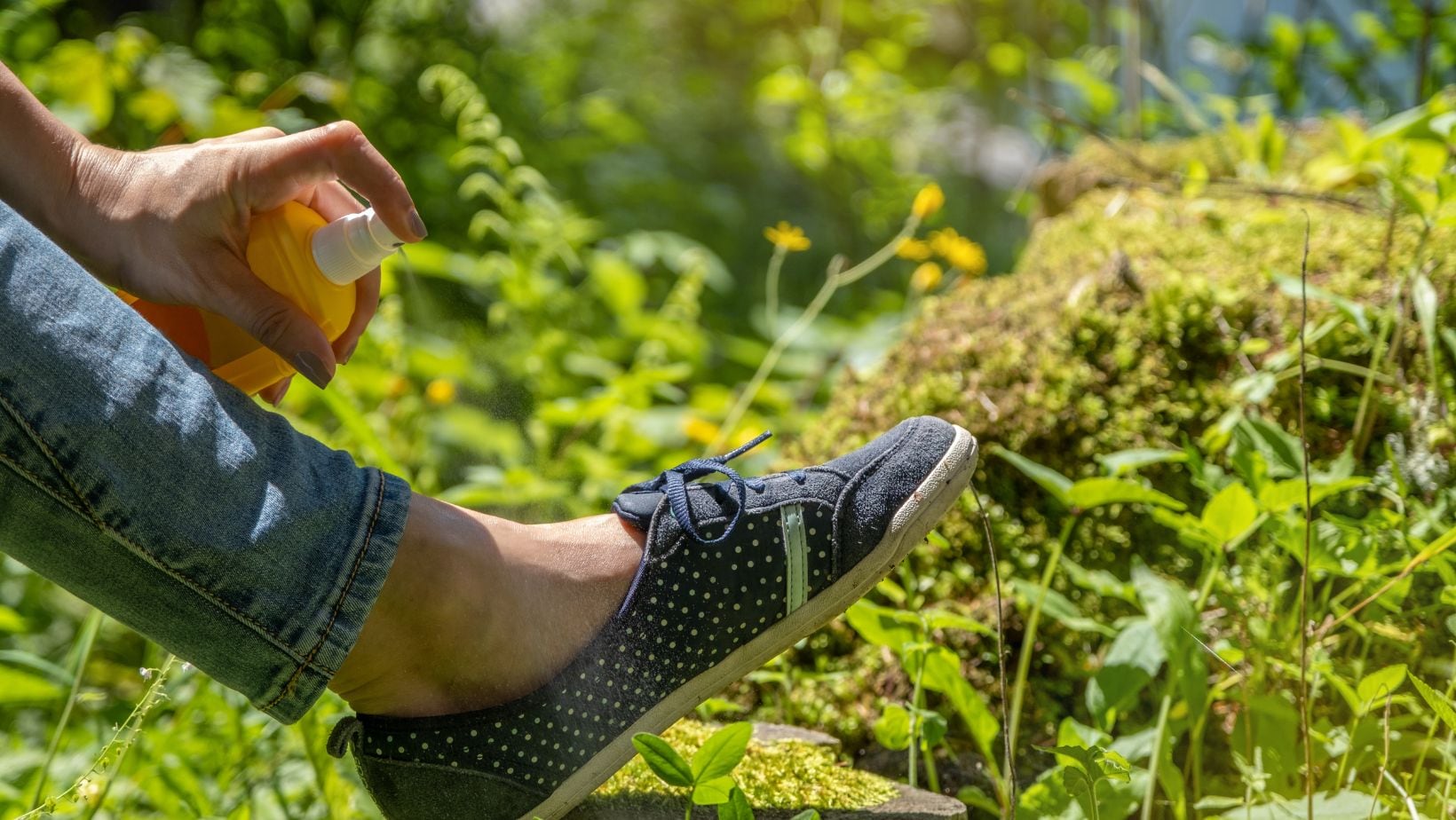 Los mosquitos no se fueron con el fin del verano, todavía están presentes en muchas zonas del país. 