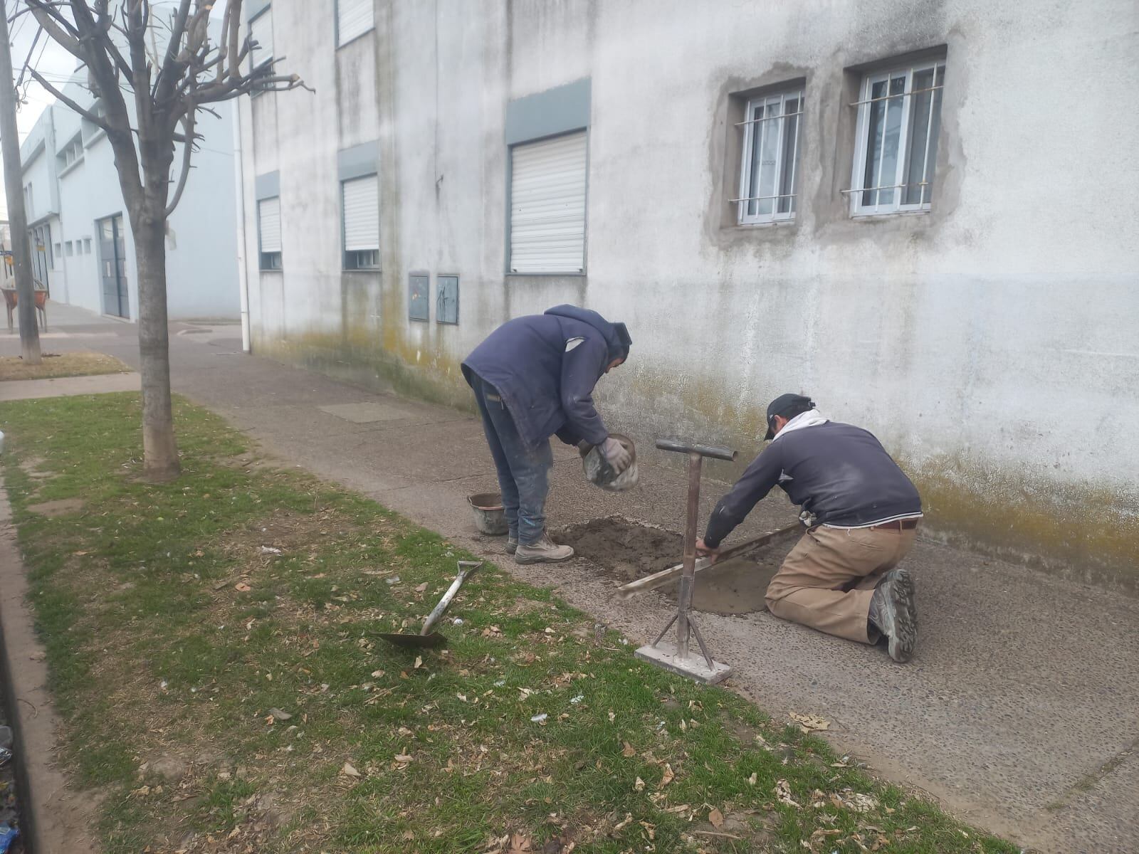 La Municipalidad de Tres Arroyos trabaja en la reparación de veredas