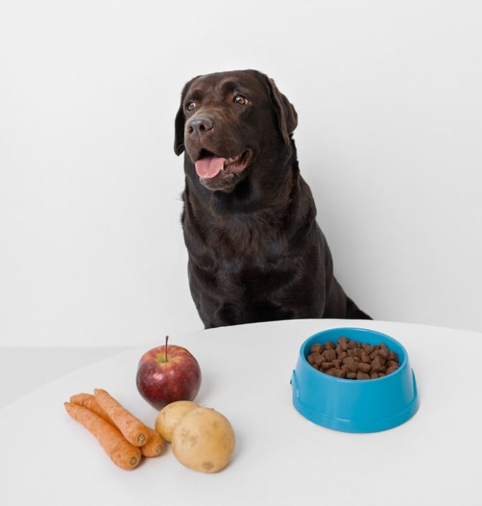 Se aconseja no darle a los perros ciertas verduras ni frutas.