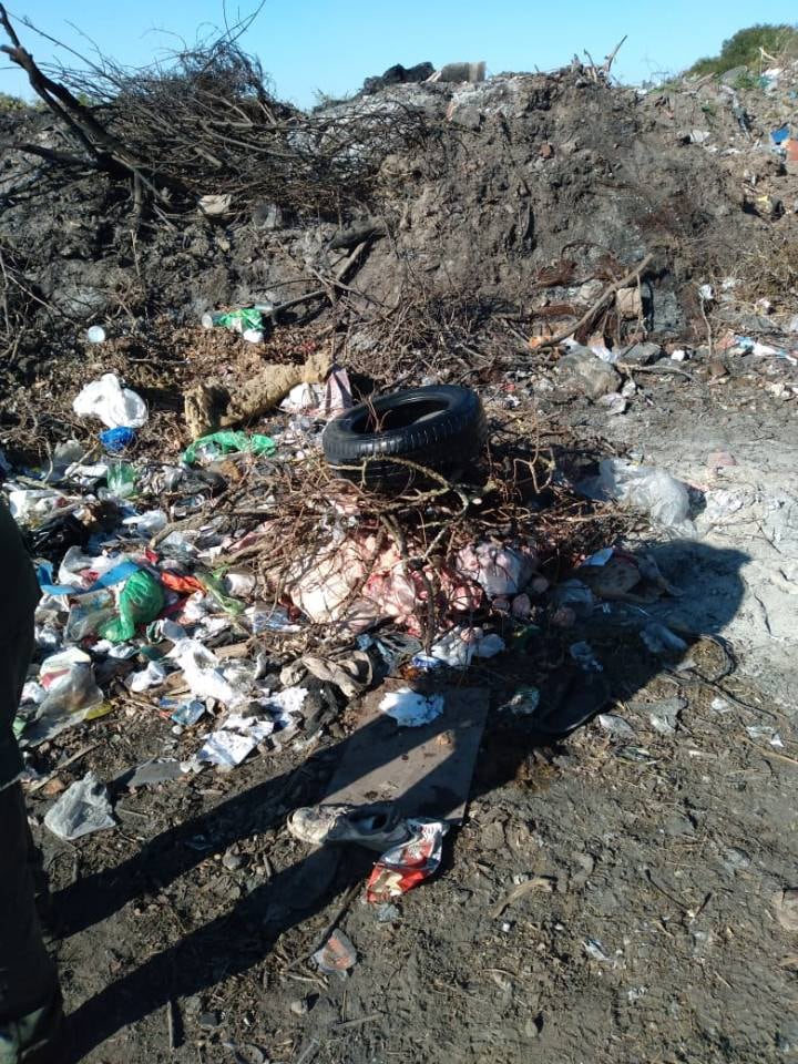 La carne fue descartada bajo supervisión de una veterinaria de Assal en el basural municipal.