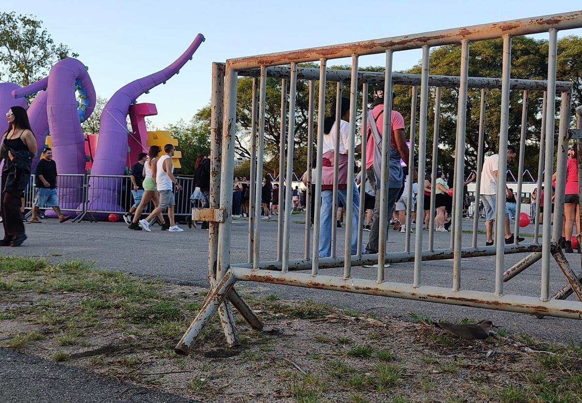 Una imagen que sorprendió en el Bum Bum: un tero “vallado” en medio del playón