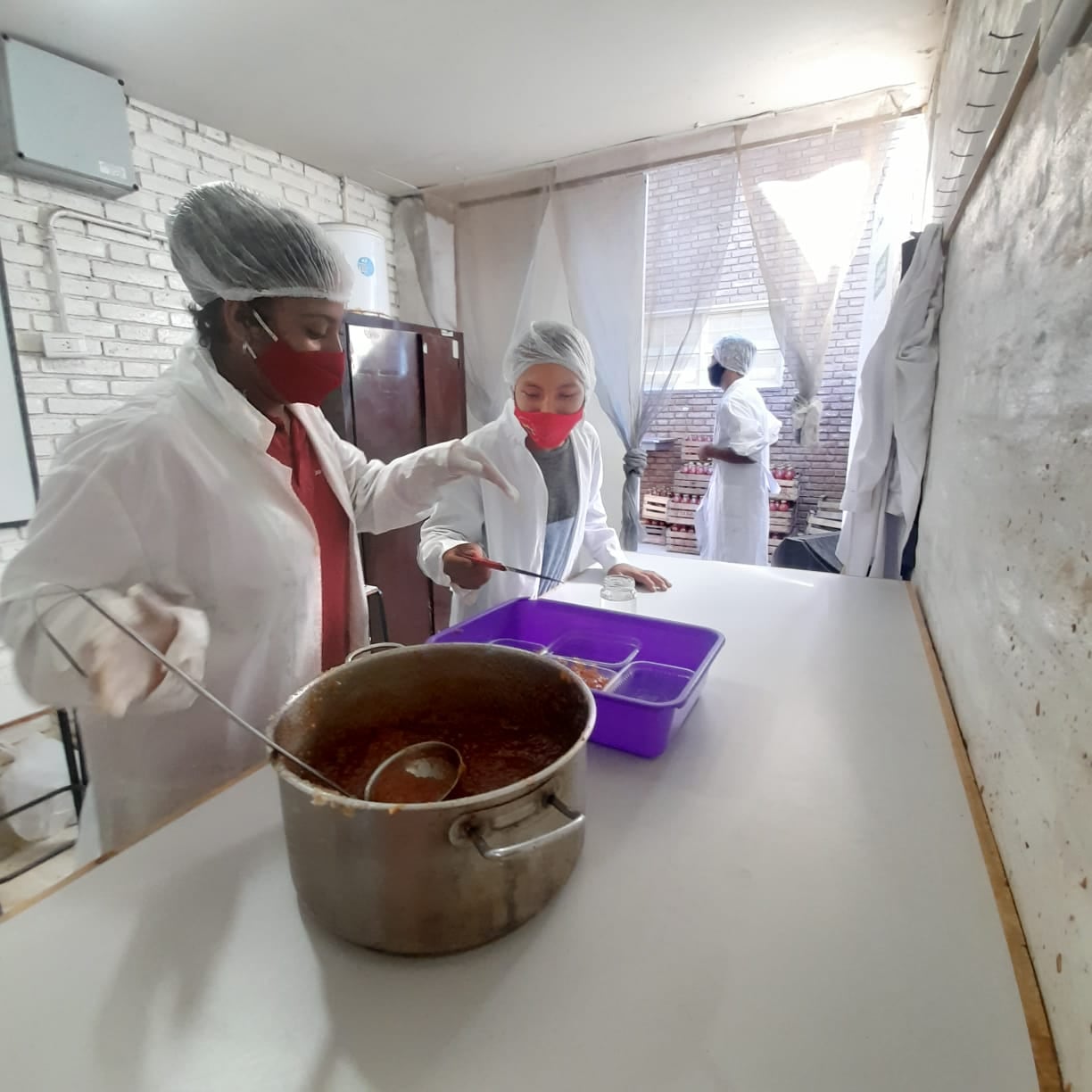 Cosecha y producción de alimentos y vino artesanal de las unidades productivas de la escuela.