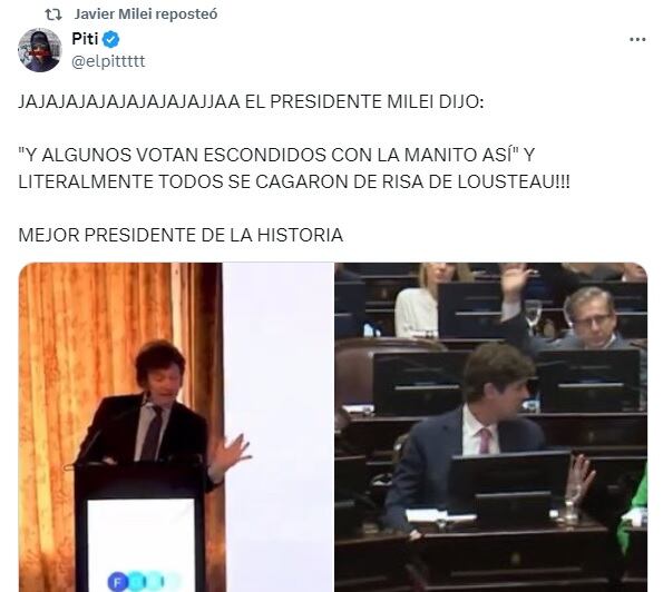 Uno de los memes sobre Lousteau que compartió Milei.