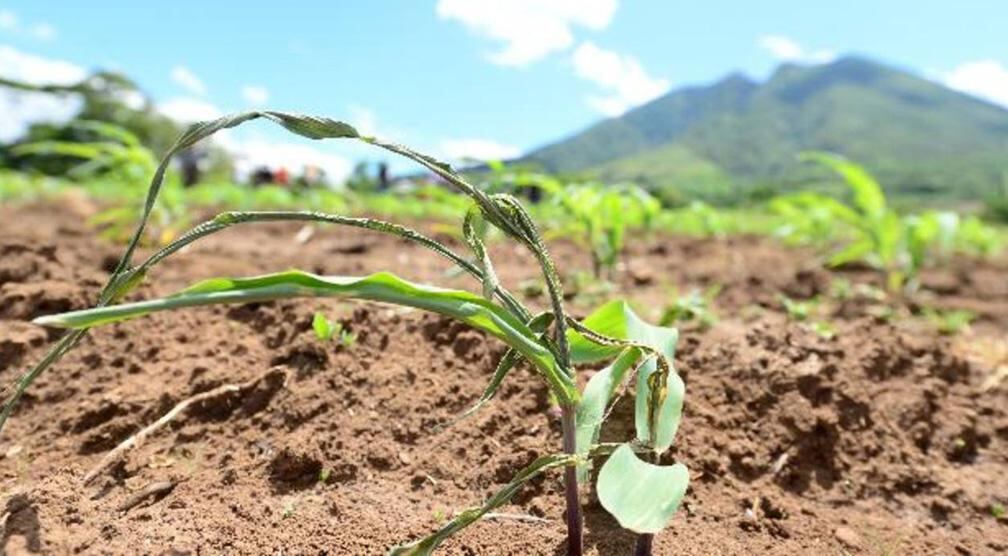 ESTRÉS HÍDRICO. Hace referencia a la situación en la que la demanda de agua es más importante que la cantidad disponible, o cuando su uso se ve restringido por su baja calidad. (Aguas Cordobesas)