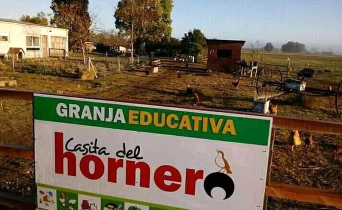 Robaron una vaca en la Granja Educativa Casita del Hornero