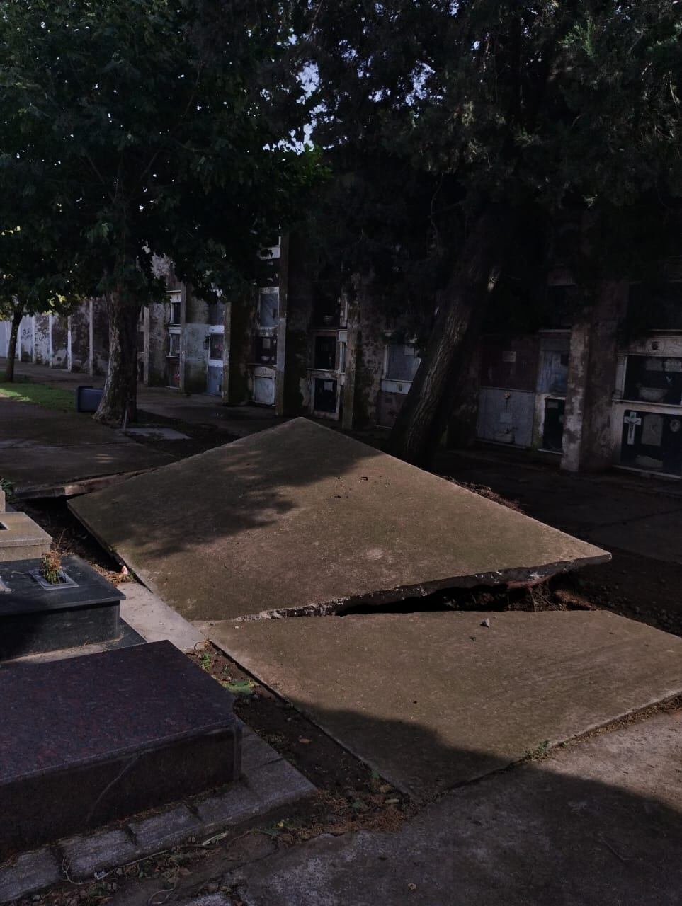 Tres Arroyos: Cementerio municipal cerrado al público