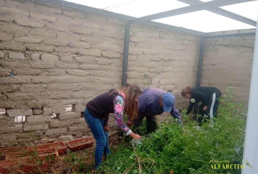 Los maestros se ocupan de la limpieza, el mantenimiento, la cocina, la huerta y el invernadero pero por protocolo de coronavirus necesitan personal que se encargue de estas tareas.