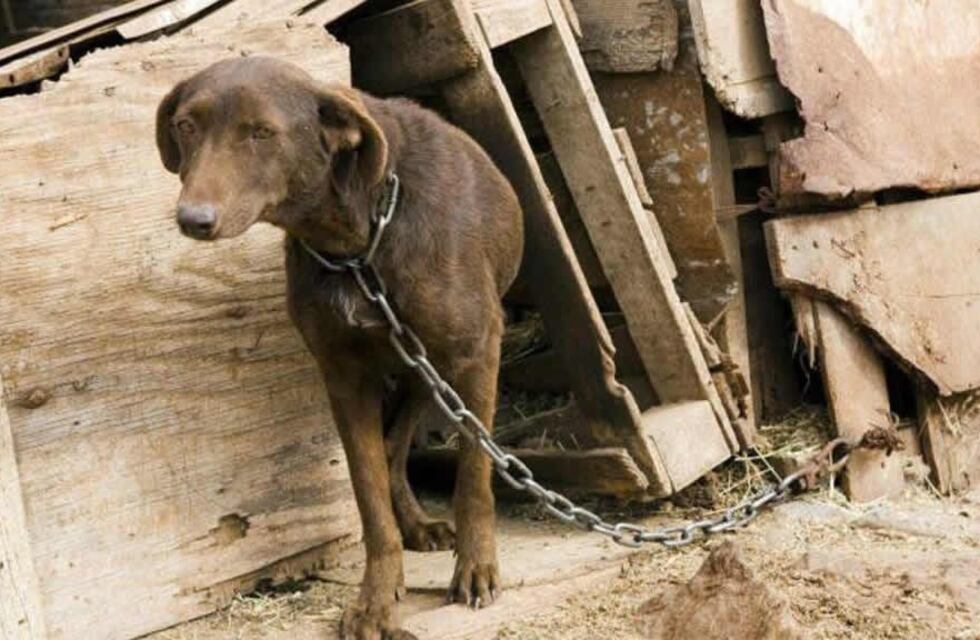 WYUEC4QJLFCRDNYWCPZ6IL4WVE