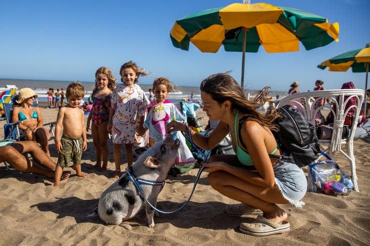 “Chanchi” se adaptó al ritmo de vida de la casa familiar y en las vacaciones duerme aún más. Foto: La Nación / Tomás Cuesta