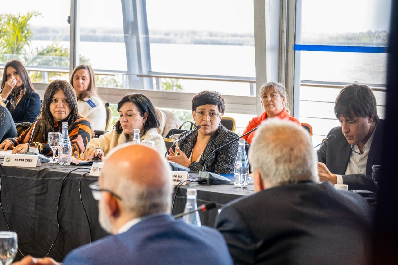 La ministra Analía Cubino, participó del Consejo Federal de Educación.