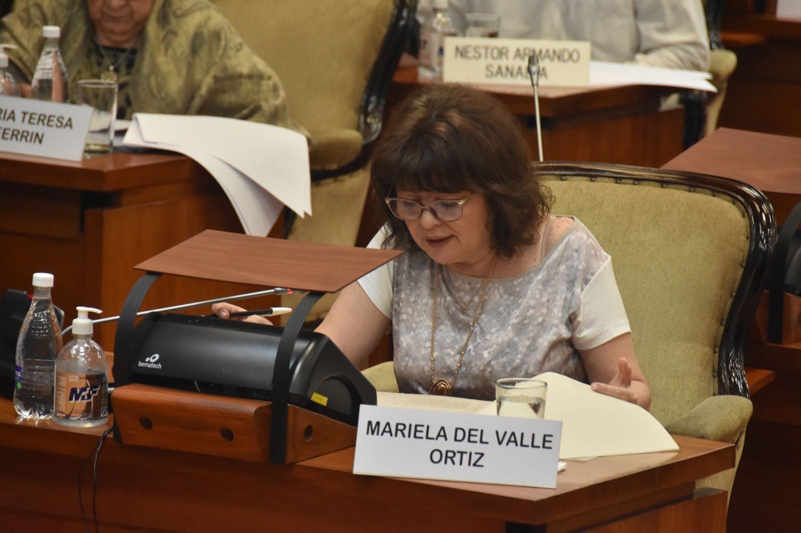 La diputada Mariela Ortiz destacó en particular los aportes del Consejo Provincial de Discapacidad de Jujuy para el abordaje del proyecto finalmente aprobado.