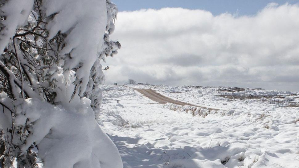 Rumbo a Los Gigantes. Hacía muchos años que el camino que lleva de Tanti a las sierras altas, en el valle de Punilla, no se veía así. La nieve lo cubrió todo ayer. Por la tarde, su presencia ya se desvanecía (La Voz).