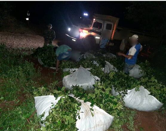 Policía evitó el robo de yerba mate