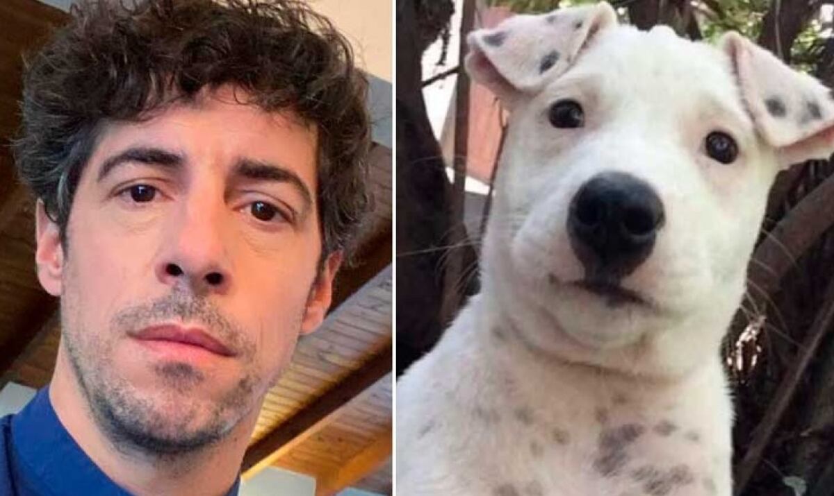 Esteban Lamothe ofrece recompensa por encontrar al perro que se parece a él: “Busco a mí yo perro”