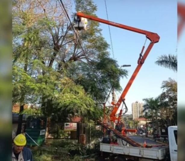 Puerto Iguazú: realizan mejoras en las líneas de tendido eléctrico.