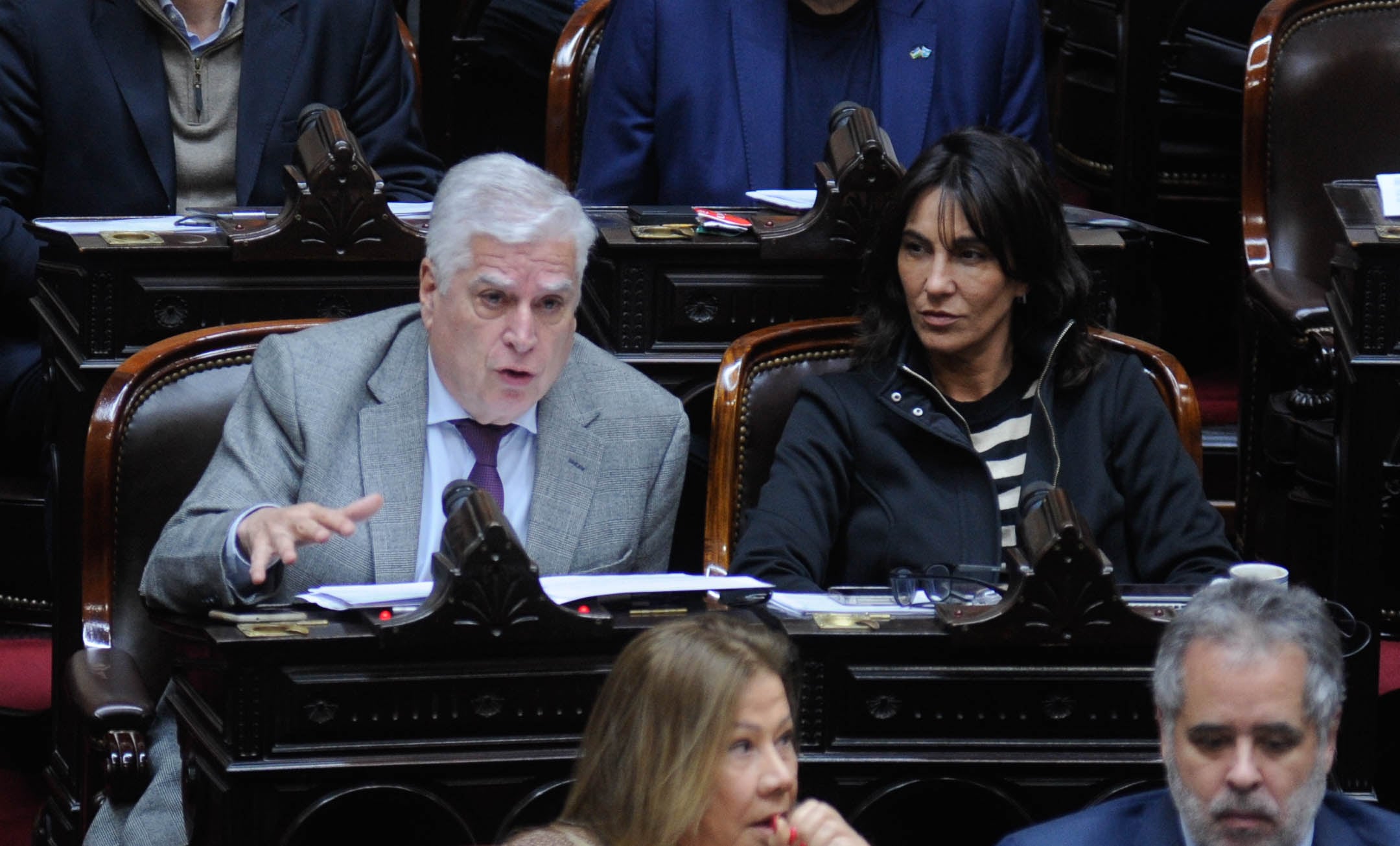 Cámara de Diputados 
debate por el impuesto a las ganancias
Foto Federico Lopez Claro
Carlos Gutierrez 
Natalia De La Sota