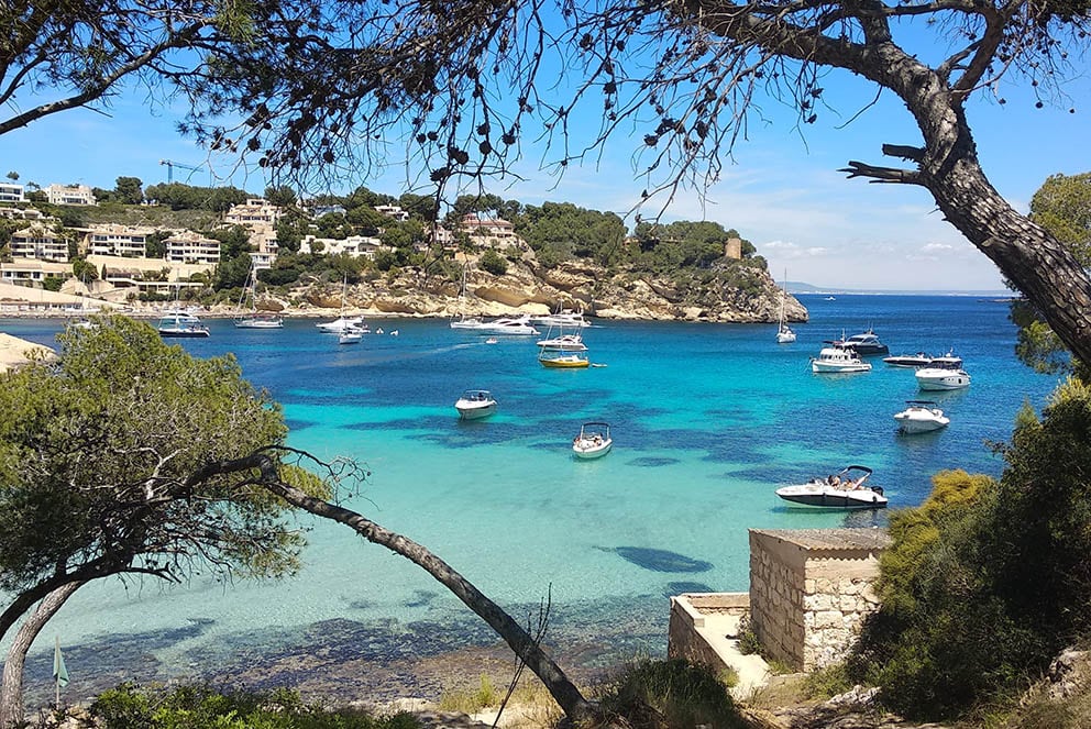 El hombre vive en Mallorca. (Foto: Constanza Vasquez)