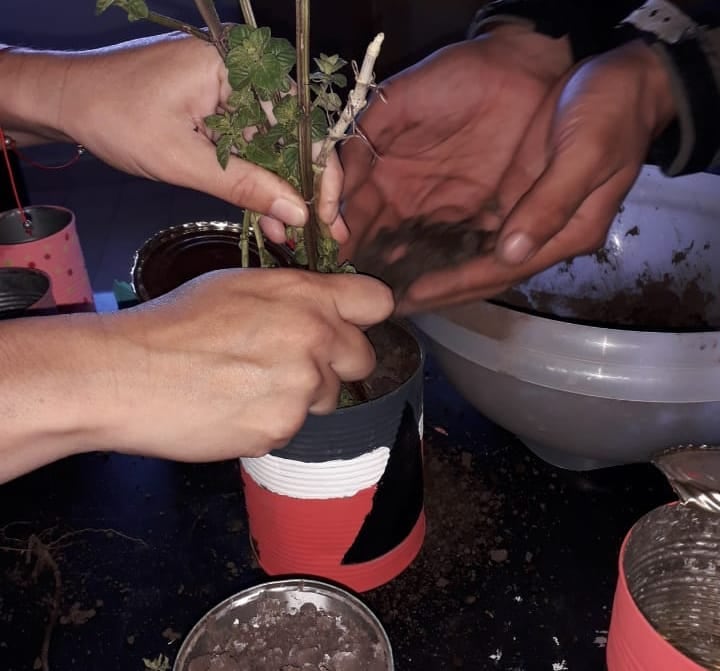 En el proyecto se producen cactus y suculentas a través de  la reutilización de latas y su transformación en macetas decorativas, convirtiendo residuos en objetos de valor.